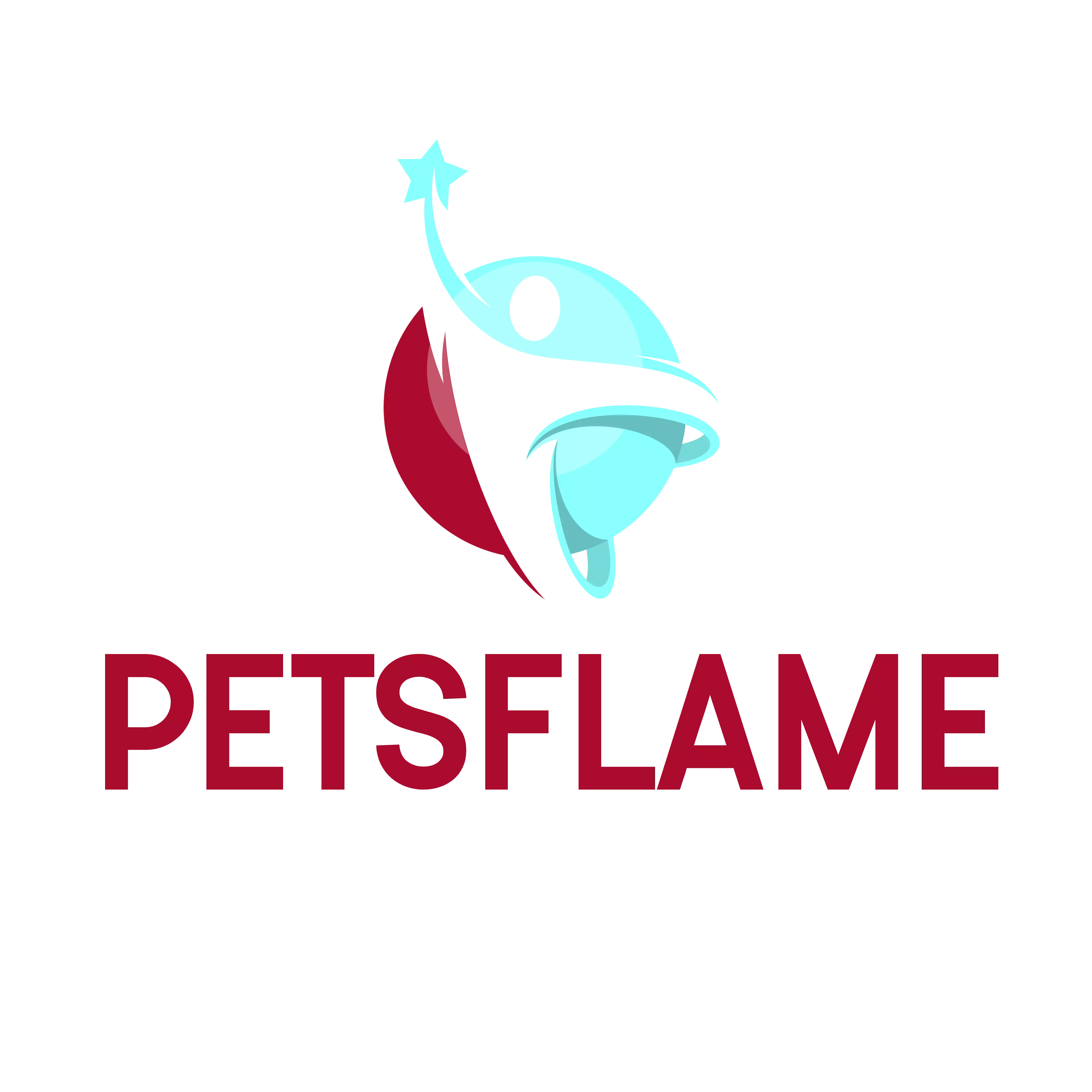 Petsflame