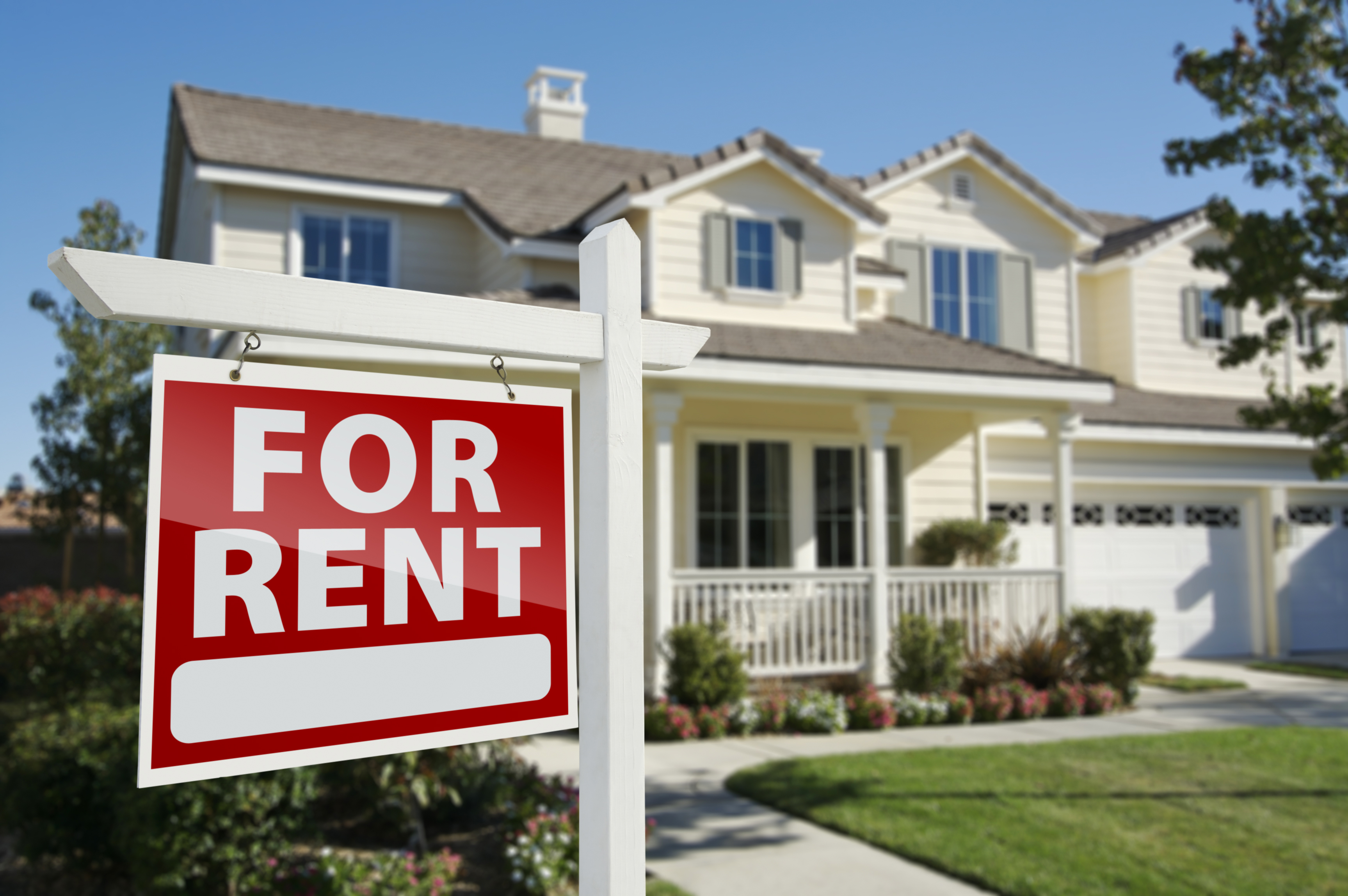 Renting a Property